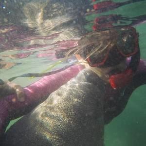 Meet your Posher, Maggie